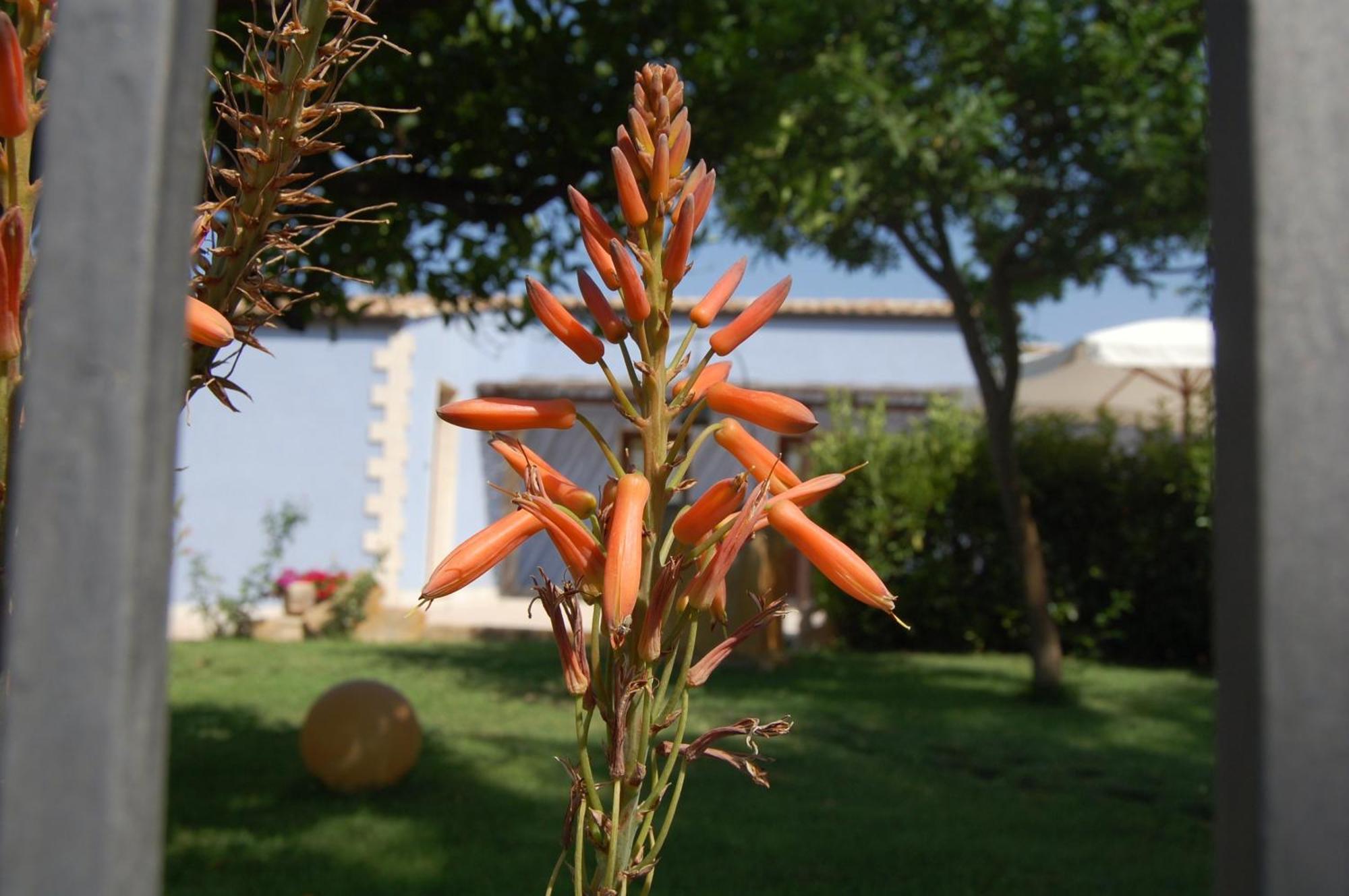 Terre Iblee Resort Chiaramonte Gulfi Dış mekan fotoğraf